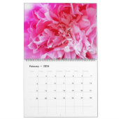 Calendrier Abstrait et floral 2025 - MultiMediaSus (Feb 2026)