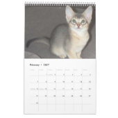 Calendrier abyssinien de chat (customisez (Feb 2027)