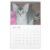 Calendrier abyssinien de chat (customisez (Jan 2027)