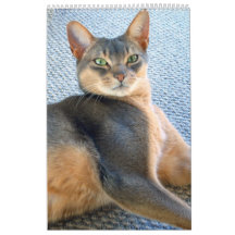 Calendrier abyssinien de chat (customisez
