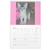 Calendrier abyssinien de chatons et de chats (Mar 2027)