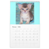 Calendrier abyssinien de chatons et de chats (Feb 2026)