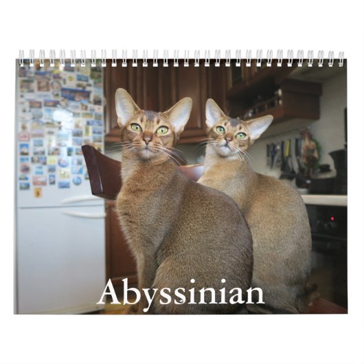 Calendrier abyssinique (Protection)