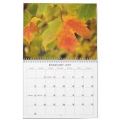Calendrier Adirondack Couleurs d'Automne 12 Mois (Feb 2027)