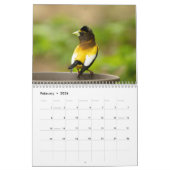 Calendrier Adirondack Wildlife 2026 (Feb 2026)