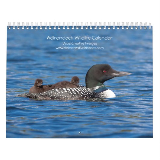 Calendrier Adirondack Wildlife 2026 (Protection)