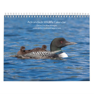 Calendrier Adirondack Wildlife 2026