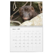 Calendrier Adirondack Wildlife 2026 (Mar 2027)