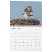 Calendrier Adirondack Wildlife 2026 (Jan 2027)