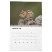 Calendrier Adirondack Wildlife 2026 (Feb 2026)