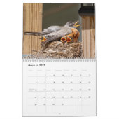 Calendrier Adirondack Wildlife 2026 (Mar 2027)