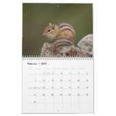 Calendrier Adirondack Wildlife 2026 (Feb 2027)