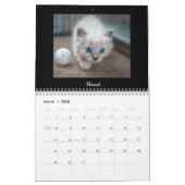 Calendrier adoptif de 2015 Felines (Mar 2026)
