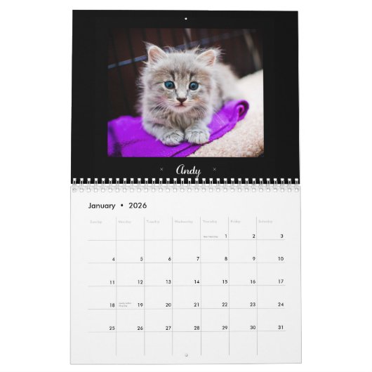 Calendrier adoptif de 2015 Felines (Jan 2026)