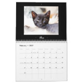 Calendrier adoptif de 2015 Felines (Feb 2027)