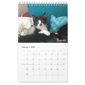 Calendrier adoptif du chaton 2019 (Feb 2027)