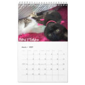 Calendrier adoptif du chaton 2019 (Mar 2027)