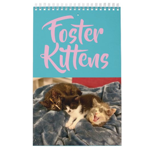 Calendrier adoptif du chaton 2019 (Protection)