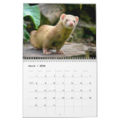 Calendrier Adorable Ferrets 2026 (Mar 2026)
