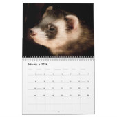 Calendrier Adorable Ferrets 2026 (Feb 2026)