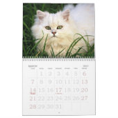 Calendrier adorable Kitten (Mar 2027)
