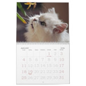 Calendrier adorable Kitten (Jan 2026)