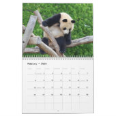 Calendrier Adorable Panda Portes Belle Nature Photographie (Feb 2026)