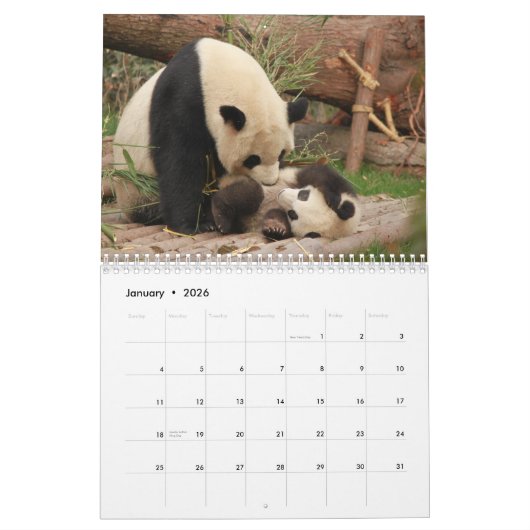 Calendrier Adorable Panda Portes Belle Nature Photographie (Jan 2026)