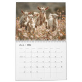 Calendrier Adorable Wildlife Photography | Baby Animals Wall (Mar 2026)
