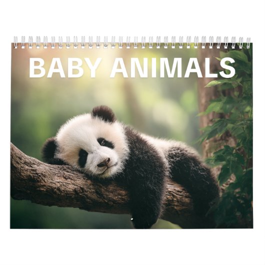 Calendrier Adorable Wildlife Photography | Baby Animals Wall (Protection)