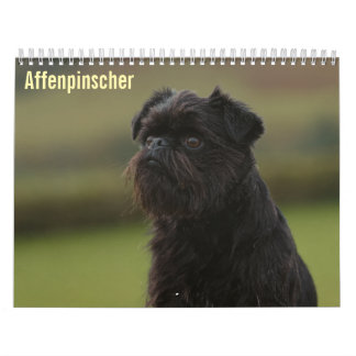 Calendrier Affenpinscher 2027