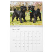 Calendrier Affenpinscher 2027 (Mar 2027)