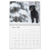 Calendrier Affenpinscher 2027 (Jan 2027)
