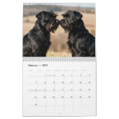 Calendrier Affenpinscher 2027 (Feb 2027)