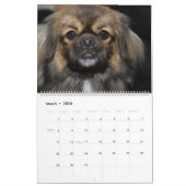 CALENDRIER AFFICHER LES CHIENS (Mar 2026)