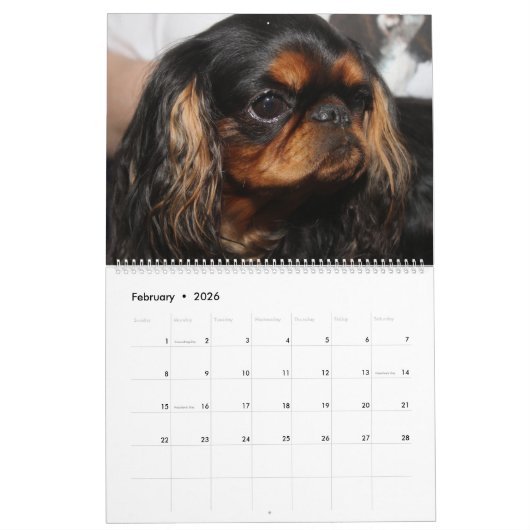 CALENDRIER AFFICHER LES CHIENS (Feb 2026)