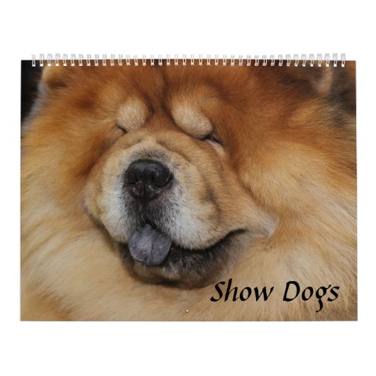 CALENDRIER AFFICHER LES CHIENS (Protection)