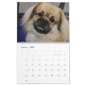 CALENDRIER AFFICHER LES CHIENS (Jan 2027)