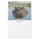 Calendrier Africa Wildlife Calendar 2026 / African Animals 2 (Feb 2026)