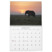 Calendrier africain 2013 de faune (Mar 2027)
