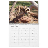 Calendrier africain de chiens sauvages, chiens (Mar 2027)