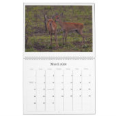 Calendrier africain de faune (Mar 2026)