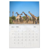 Calendrier africain de la faune (Mar 2026)
