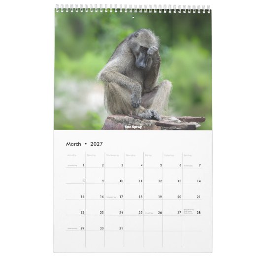 Calendrier africain de la faune 2026 (Mar 2027)