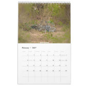 Calendrier africain de la faune 2026 (Feb 2027)