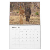 Calendrier africain Safari 2018 (Feb 2027)