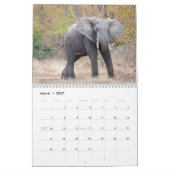 Calendrier Africain Safari 2023 (Mar 2027)