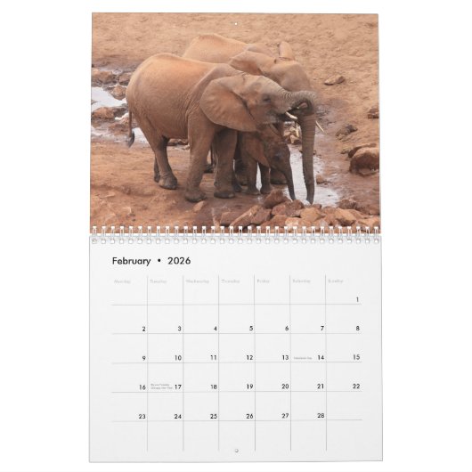Calendrier African Animals 2026 Calendar (Feb 2026)