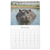 Calendrier African Animals Calendar 2026 / African Wildlife (Feb 2026)