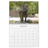Calendrier African_Elephant_005, éléphant africain (Mar 2027)